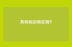 苏牧和边牧区别？