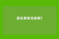 喜乐蒂常见疾病？