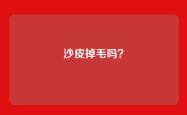 沙皮掉毛吗？