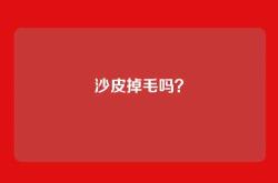 沙皮掉毛吗？
