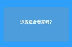 沙皮适合看家吗？