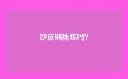 沙皮训练难吗？