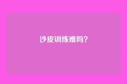 沙皮训练难吗？