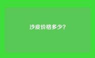 沙皮价格多少？