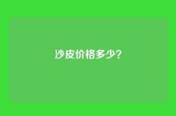 沙皮价格多少？