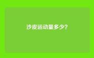 沙皮运动量多少？