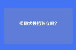 松狮犬性格独立吗？
