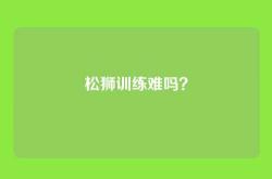 松狮训练难吗？