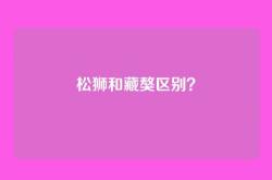 松狮和藏獒区别？