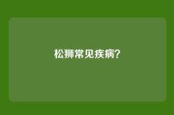 松狮常见疾病？