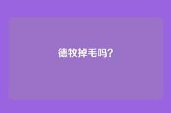 德牧掉毛吗？