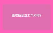 德牧适合当工作犬吗？
