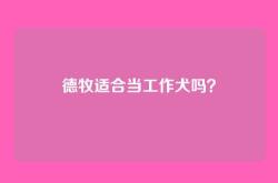 德牧适合当工作犬吗？