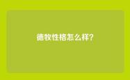 德牧性格怎么样？