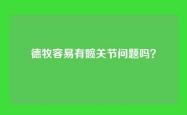 德牧容易有髋关节问题吗？