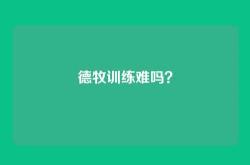 德牧训练难吗？