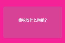 德牧吃什么狗粮？