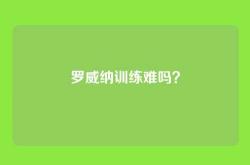 罗威纳训练难吗？