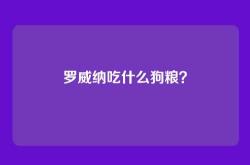 罗威纳吃什么狗粮？