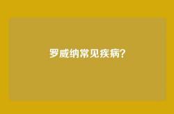 罗威纳常见疾病？