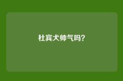 杜宾犬帅气吗？