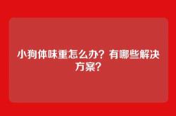 小狗体味重怎么办？有哪些解决方案？