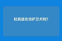 杜宾适合当护卫犬吗？