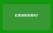 杜宾训练容易吗？