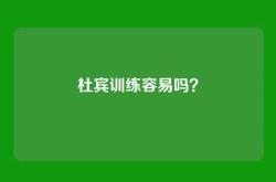 杜宾训练容易吗？
