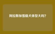 阿拉斯加雪橇犬体型大吗？