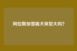 阿拉斯加雪橇犬体型大吗？