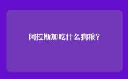 阿拉斯加吃什么狗粮？