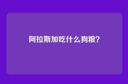 阿拉斯加吃什么狗粮？