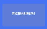 阿拉斯加训练难吗？