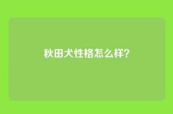 秋田犬性格怎么样？