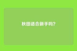 秋田适合新手吗？