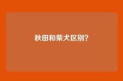 秋田和柴犬区别？