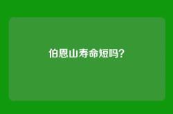 伯恩山寿命短吗？