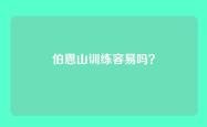 伯恩山训练容易吗？