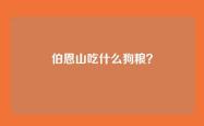 伯恩山吃什么狗粮？