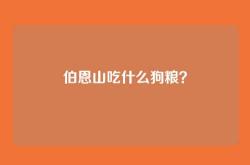 伯恩山吃什么狗粮？