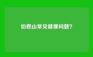 伯恩山常见健康问题？