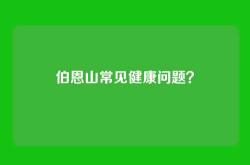 伯恩山常见健康问题？
