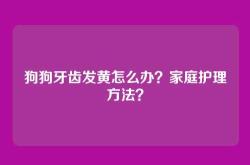 狗狗牙齿发黄怎么办？家庭护理方法？