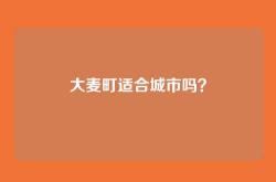 大麦町适合城市吗？