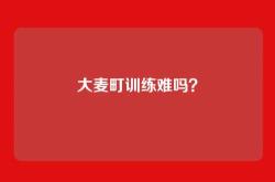 大麦町训练难吗？