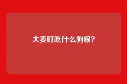 大麦町吃什么狗粮？