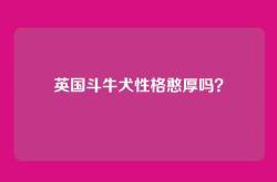 英国斗牛犬性格憨厚吗？