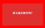 英斗适合新手吗？