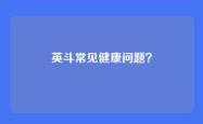 英斗常见健康问题？